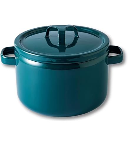 Amazon｜タクミジャパン(TakumiJAPAN) 両手鍋 20cm 鉄緑 ホーロー IH